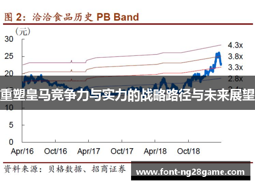重塑皇马竞争力与实力的战略路径与未来展望